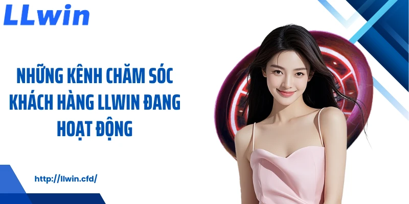 Chăm Sóc Khách Hàng LLWIN Giữ Nhịp Hỗ Trợ Ổn Định - Nowin